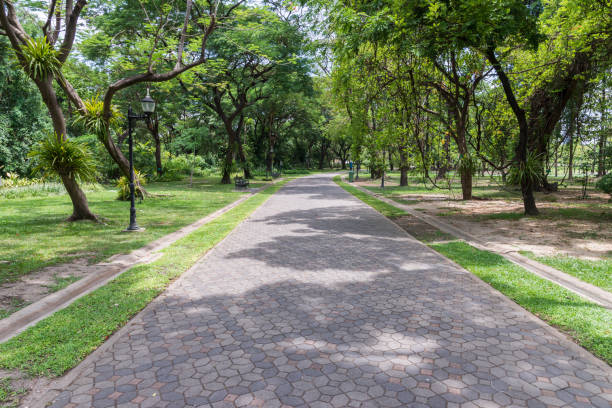 istock Clean brick pathway along in the urban park. 1026623826