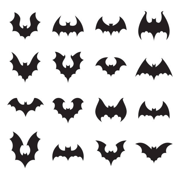 ilustrações de stock, clip art, desenhos animados e ícones de vampire bat silhouette. halloween bats decoration, hanging cave flittermouse and scary rearmouse animal vector silhouettes collection - bat animal flying mammal
