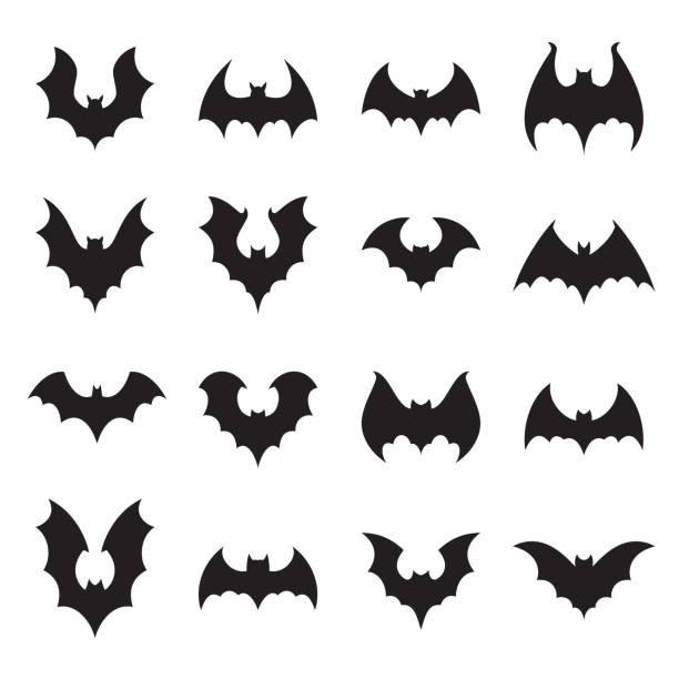 Vampire bat silhouette. Halloween bats decoration, hanging cave flittermouse and scary rearmouse animal vector silhouettes collection Vampire bat silhouette. Halloween bats decoration, hanging cave flittermouse and scary rearmouse animal, nocturnal holiday night wildlife flight shape vector silhouettes isolated icon collection bats stock illustrations
