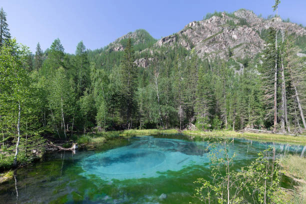 istock Geyser lake in Altai 1026645578
