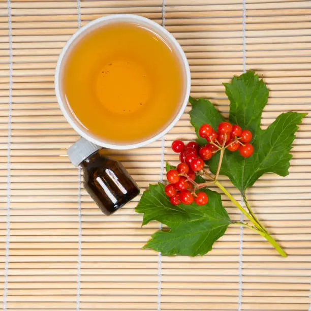viburnum berries, cup of tea and herbal oil jar on bamboo table