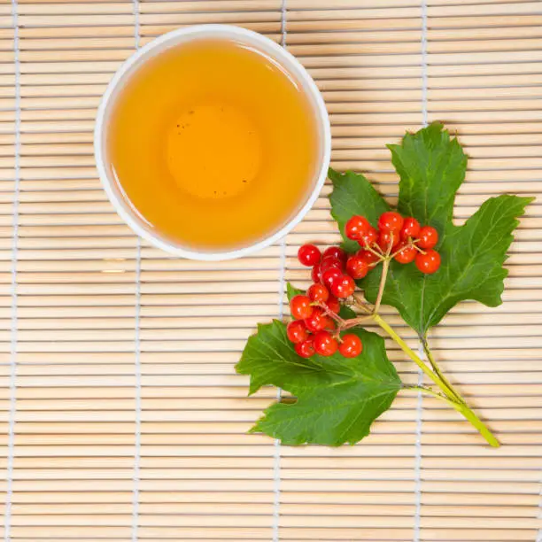 viburnum berries and cup of tea on bamboo table, prevention colds concept