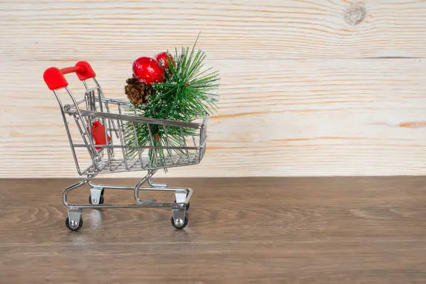xmas tree branch with red berries in shopping trolley, christmas sale concept