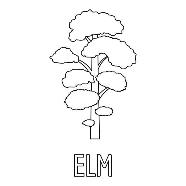 illustrazioni stock, clip art, cartoni animati e icone di tendenza di icona olmo, stile contorno. - tree silhouette elm tree vector