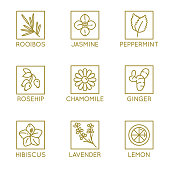 istock Vector set of herbal organic tea badges and icons in linear style 1026667944