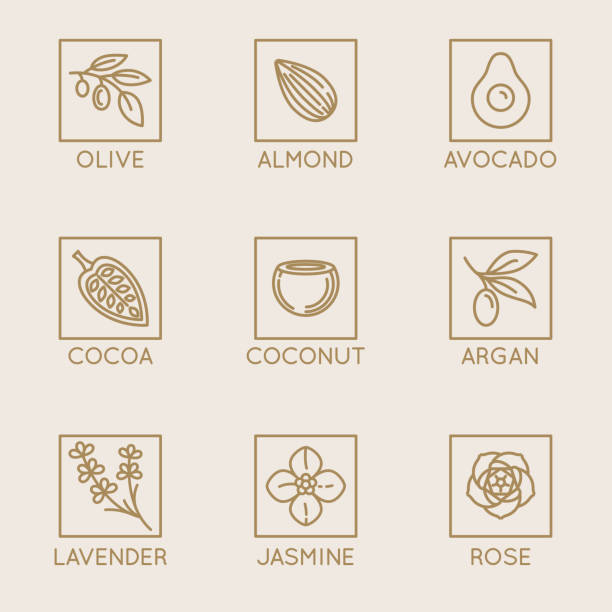 Vector set of natural ingredients and oils for cosmetics in linear style - packaging design templates and emblems Vector set of natural ingredients and oils for cosmetics in linear style - packaging design templates and emblems - olive, almond, avocado, cocoa, coconut, argan, lavender, jasmine and rose argan tree stock illustrations