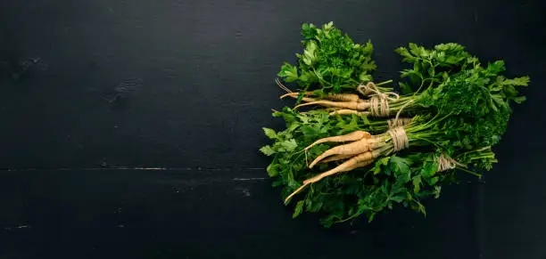 Fresh green parsley. Root parsley. On a wooden background. Top view. Copy space.