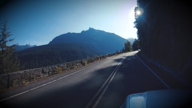Vintage Nature Road Trip in Mt Rainier National Park