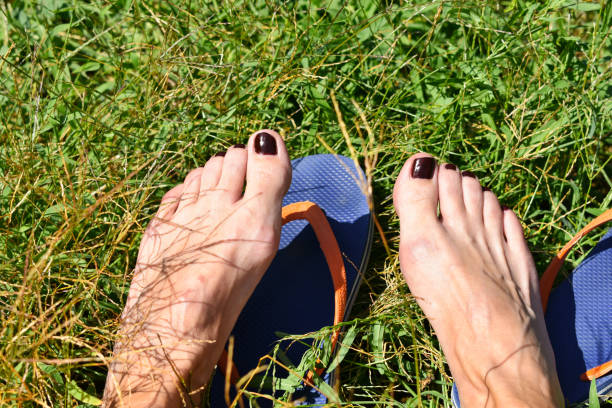 istock Female feet in grass 1026680440