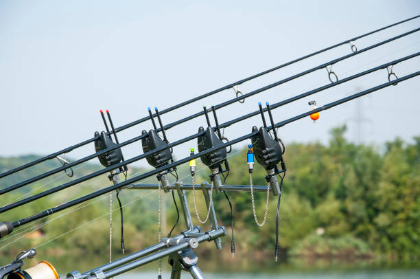 istock fishing rods with bait alarm 1026693042