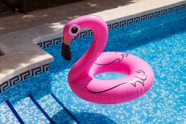istock Inflatable pink flamingo in a swimming pool 1026694438