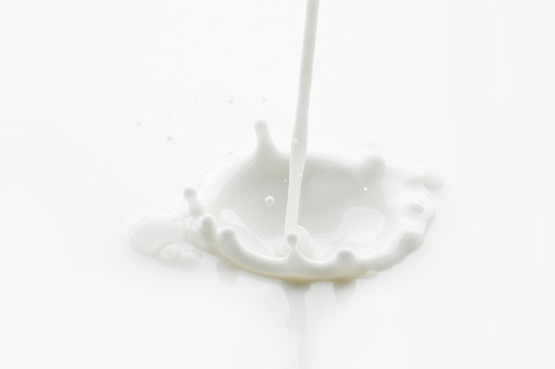 Pouring milk splash isolated on white background macro