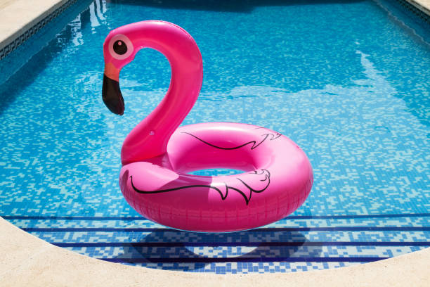 istock Inflatable pink flamingo in a swimming pool 1026694614
