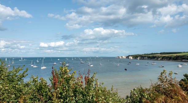 오래 된 해리 바위도 싯에 studland에 의해 studland 베이 보트 - swanage 뉴스 사진 이미지