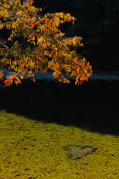 istock jurney in japan 1026712290