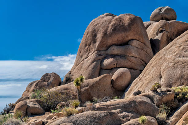 istock Rock formation, Joshua tree national park, USA 1026718966