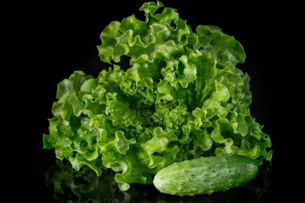 istock Green salad and fresh cucumbers 1026719504