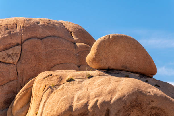 istock Rock formation, Joshua tree national park, USA 1026721730