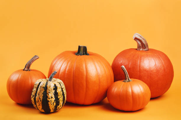 istock Group of pumpkins on yellow background 1026730028