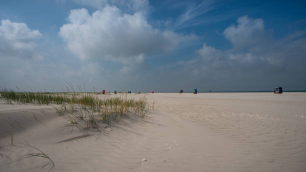 istock Island Amrum North Sea 1026742736