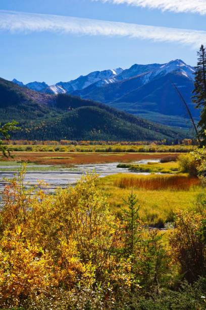 istock autumn leaves on the lake 1026747388