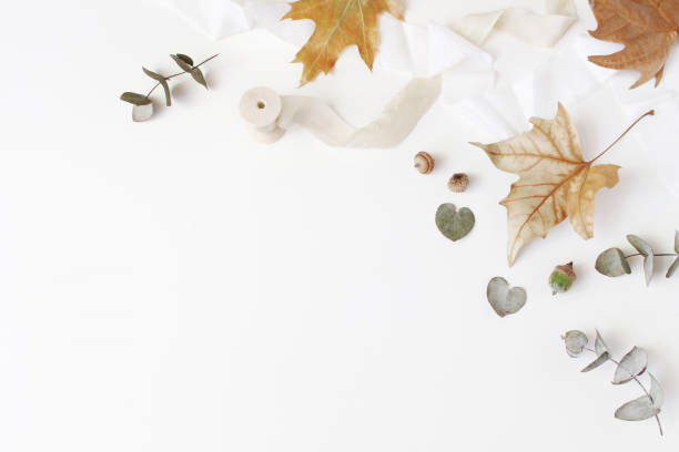 istock Fall creative styled composition. Autumn floral arrangement with dry eucalyptus, maple leaves and silk ribbon on white table background. Feminine flat lay, top view. Empty space. 1026747534