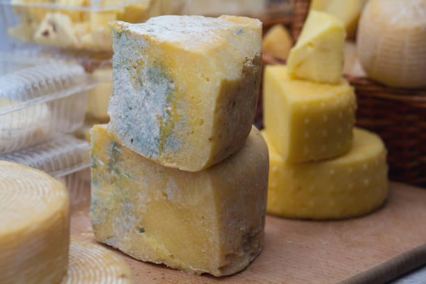 Cut pieces genuine cheese with a mold, assortment at farmer market. Food stock photo
