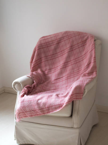 istock Reading armchair and home 1026755028