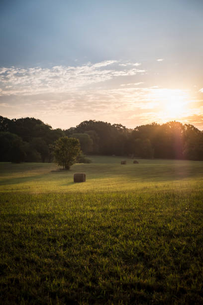 istock Sunrise over Tennessee Field 1026766108