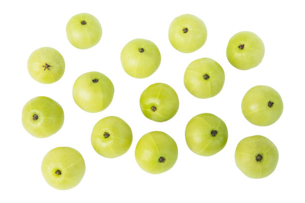 istock Indian gooseberry or Amla (Phyllanthus emblica) isolated on white background with clipping path 1026769960