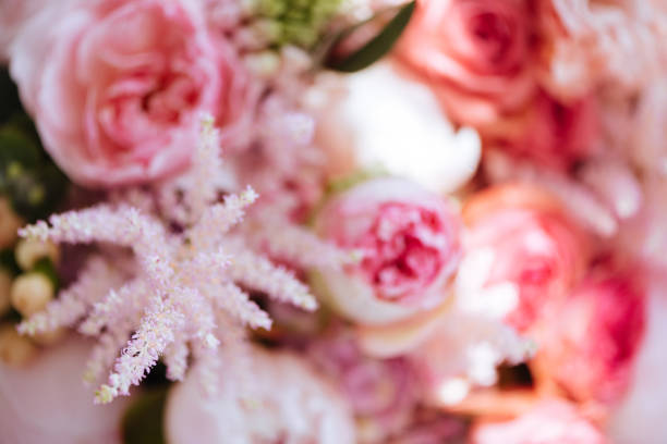istock Blurred flowers colorful background 1026773580