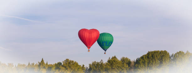istock Colorful hot-air balloons flying over the forest 1026774430