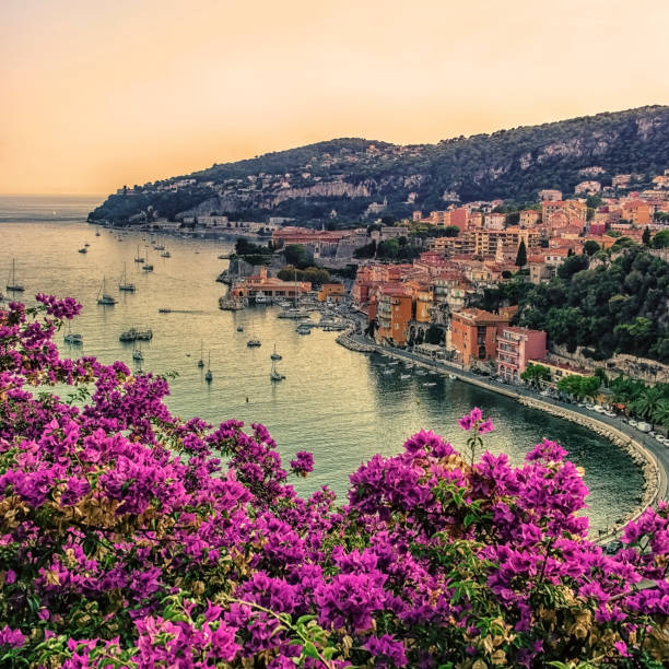 istock Summer time in France 1026780834
