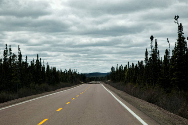Lonely Highway Labrador stock photo