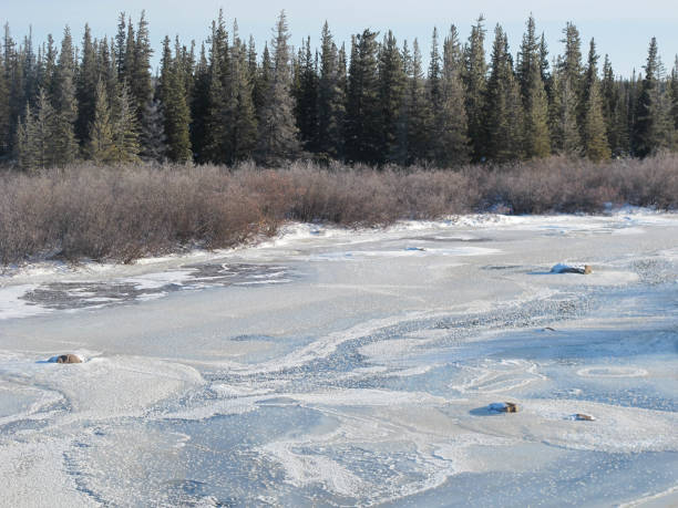 노던 풍경 - arctic canada landscape manitoba 뉴스 사진 이미지