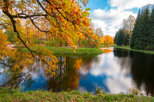Golden Fall in Catherine park, Tsarskoe Selo (Pushkin), Saint Petersburg, Russia