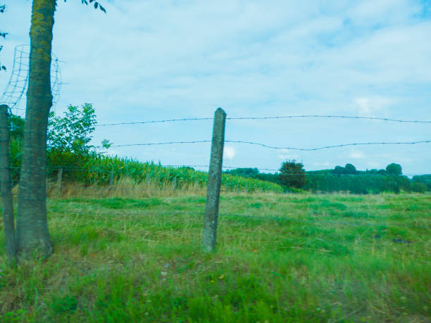 istock rainy sky rolling hills countryside rural scenic view from a moving car 1026811008