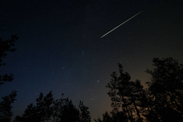 escena nocturna con el estrellado cielo y meteorito sendero en bosque - lluvia de meteoritos fotografías e imágenes de stock