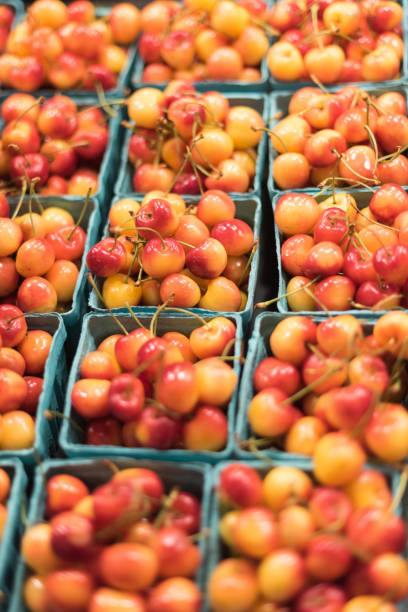 istock Rainier Cherries at a market in Washington State 1026811854