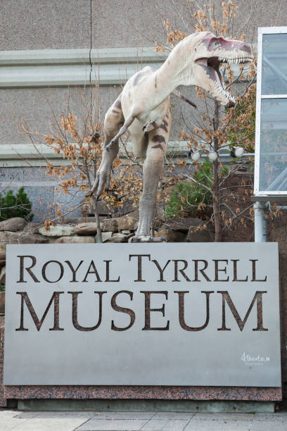 The Royal Tyrrell Museum of Paleontology in Drumheller, Alberta, Canada Drumheller, Alberta, Canada - October 16, 2017. The Royal Tyrrell Museum of Paleontology in Drumheller, Alberta, Canada. drumheller stock pictures, royalty-free photos & images