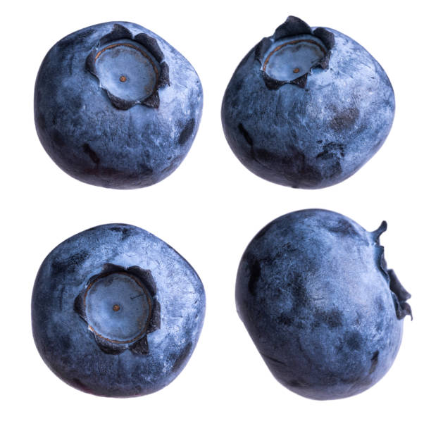 Blueberries isolated on white background. Macro photo