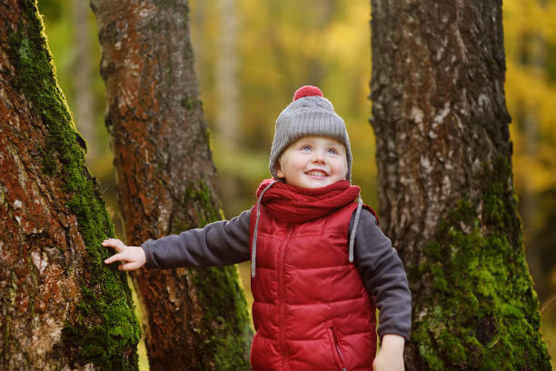 istock Little boy during stroll in the forest at sunny autumn day 1026817838