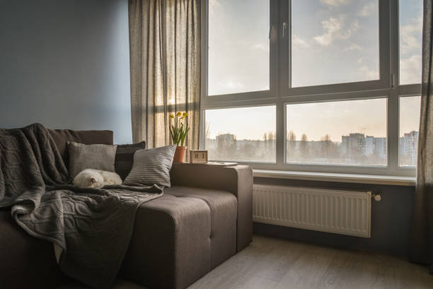 istock Cozy family room with brown couch 1026831212