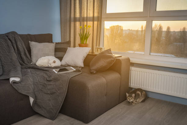 istock Cozy family room with brown couch 1026831274