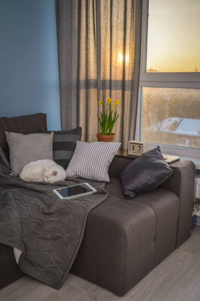 istock Cozy family room with brown couch 1026831278