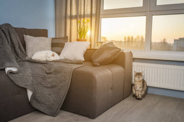 istock Cozy family room with brown couch 1026831288