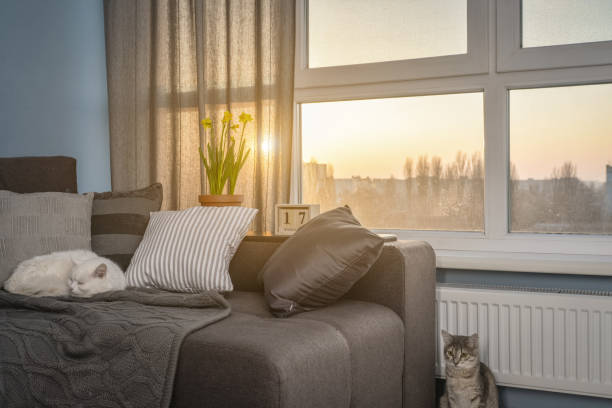 istock Cozy family room with brown couch 1026831292