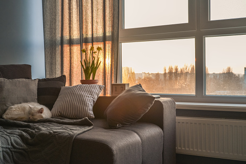 Cozy family room with brown couch, sleeping cat and large windows showing  winter landscape on sunset