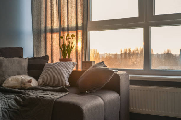 aconchegante sala de estar com sofá marrom - apartment window sky sun - fotografias e filmes do acervo