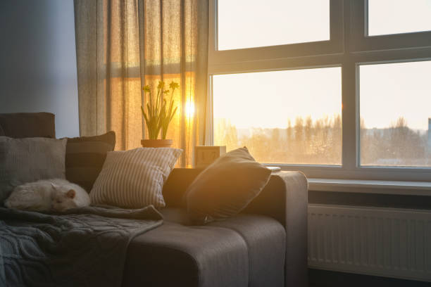 istock Cozy family room with brown couch 1026831334